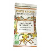 Biopastilles de tisane à sucer Propolis Eucalyptus  biologique - 15g (25 pastilles environ) 